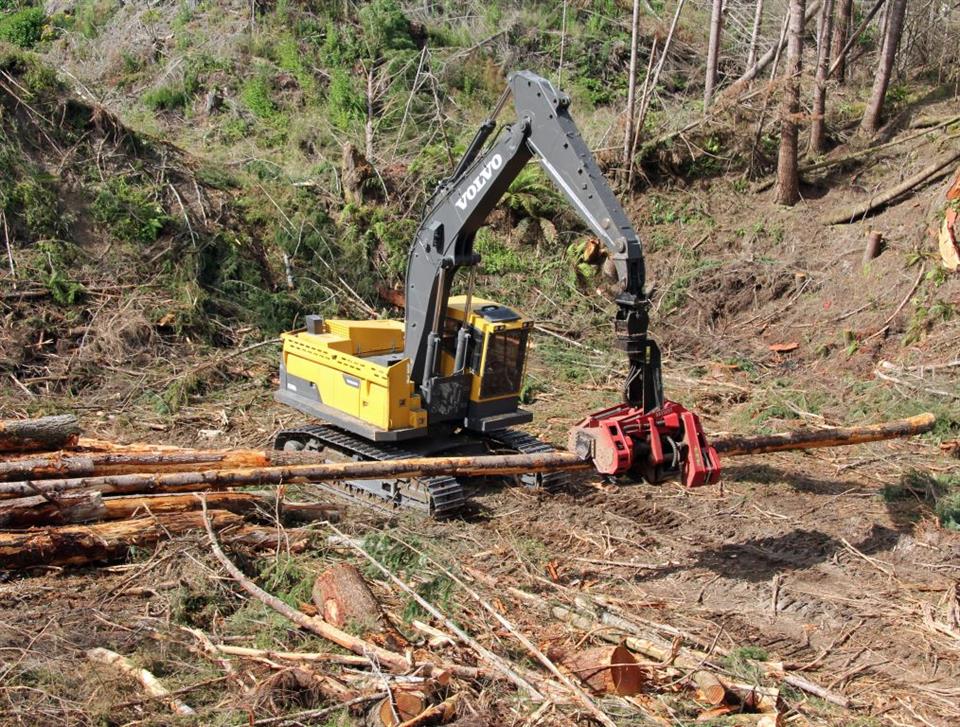 First Volvo EC380DL in New Zealand logs like a  champ!